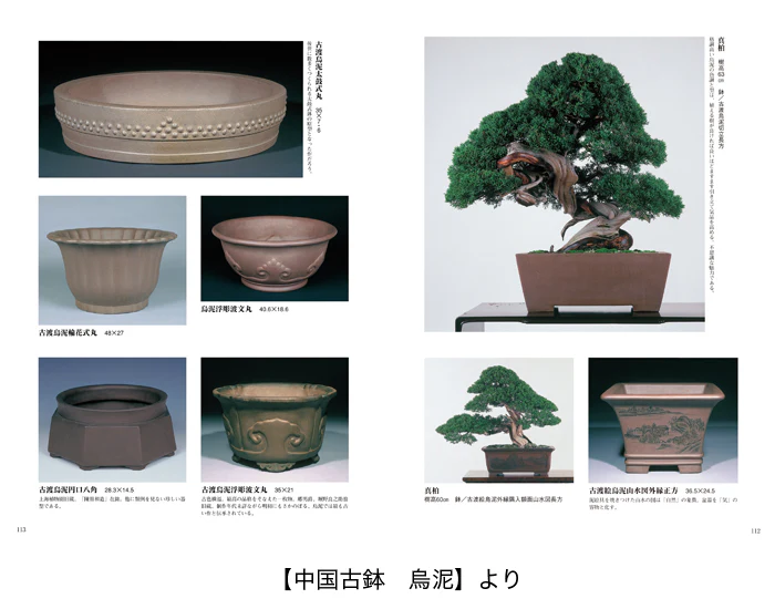 Miniature 5
