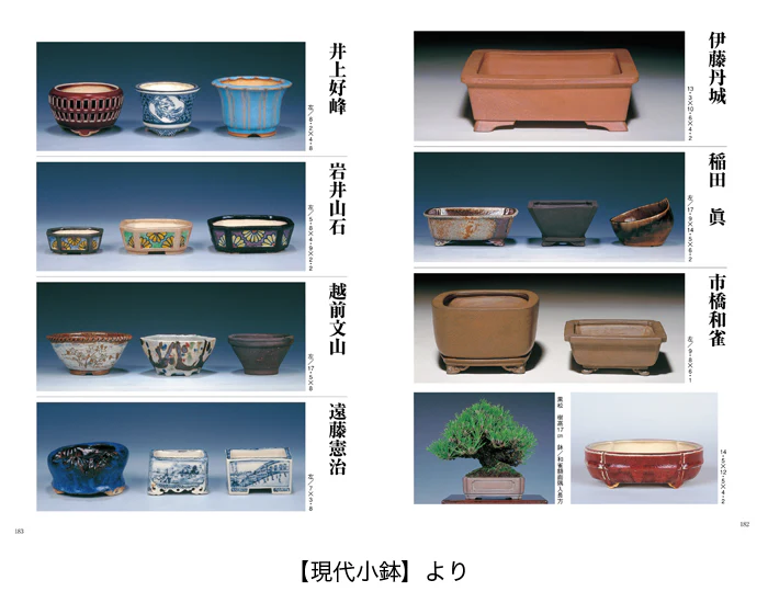 Miniature 8
