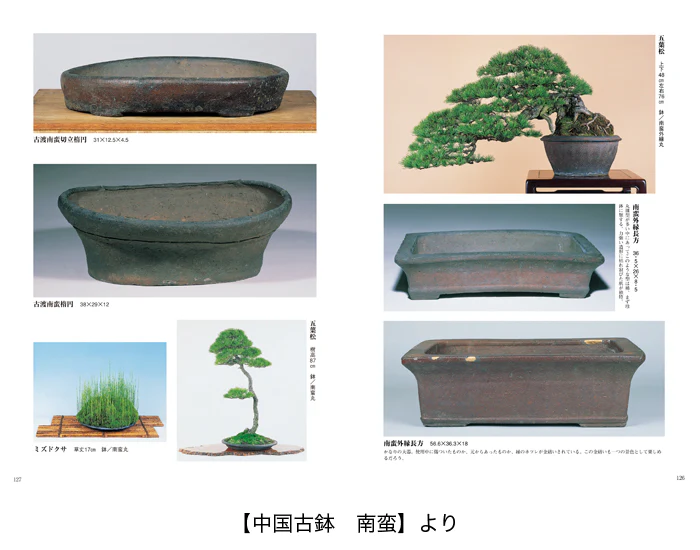 Miniature 6