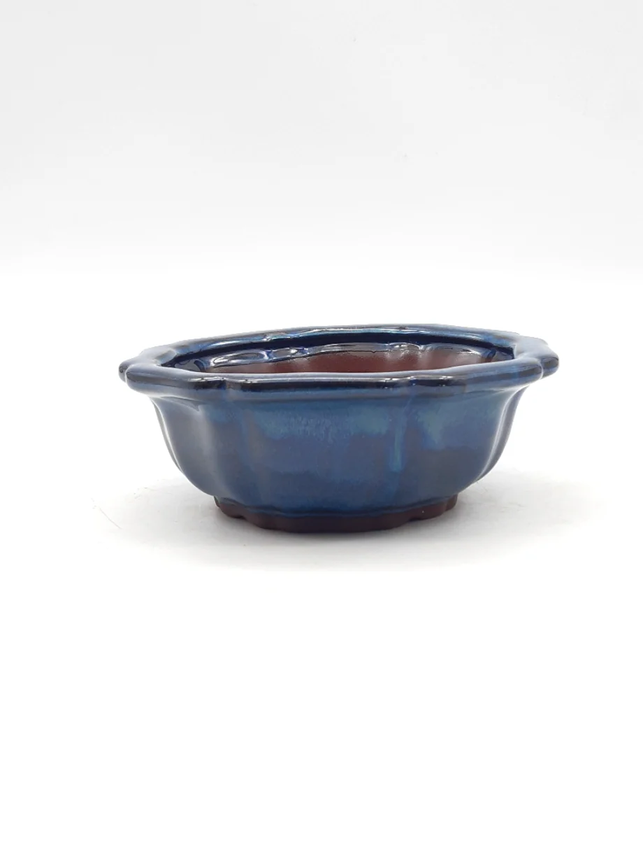 Miniature 1